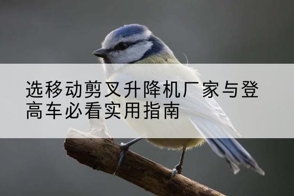 商南电动升降机厂家-选移动剪叉升降机厂家与登高车必看实用指南
