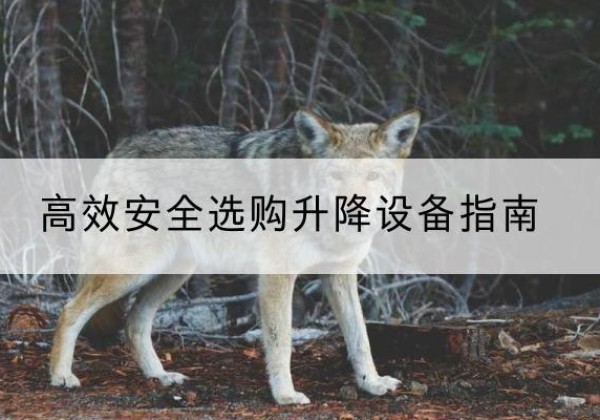 商南升降货梯厂家推荐-*安全选购升降设备指南