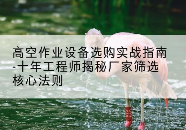 商南剪叉式升降机厂家-高空作业设备选购实战指南-十年工程师揭秘厂家筛选核心法则
