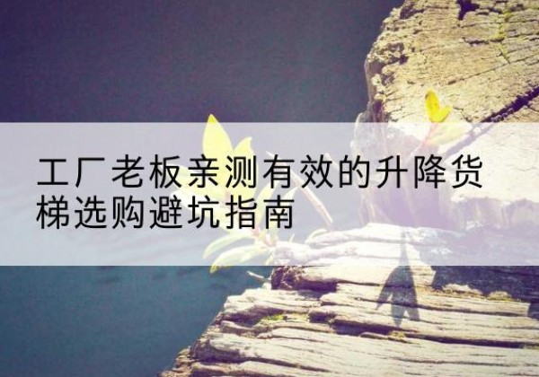 商南升降货梯怎么选-工厂老板亲测有效的升降货梯选购避坑指南